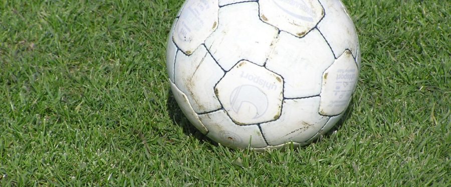 Getting A Real Feel For Culture