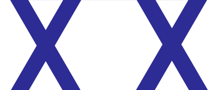 Jewish Americans Honored For Contributions To Bronx Community