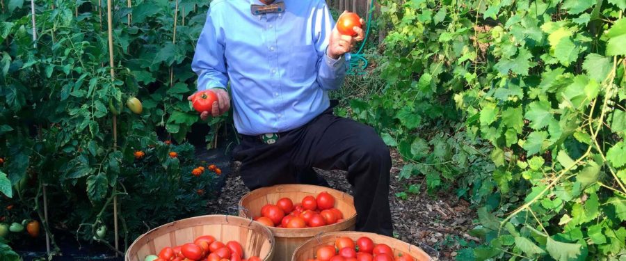 How A Bronx Teacher Started A Green Classroom Revolution That Is Spreading Across The U.S.