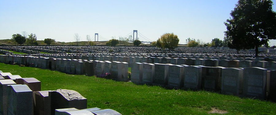 Bronx Grave Robbers Loot $160,000