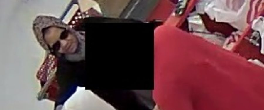 Help Identify A Grand Larceny Suspect