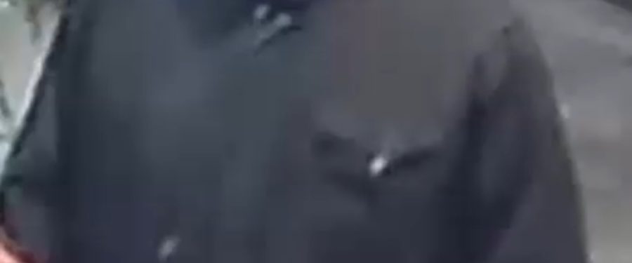 Help Identify A Robbery Duo