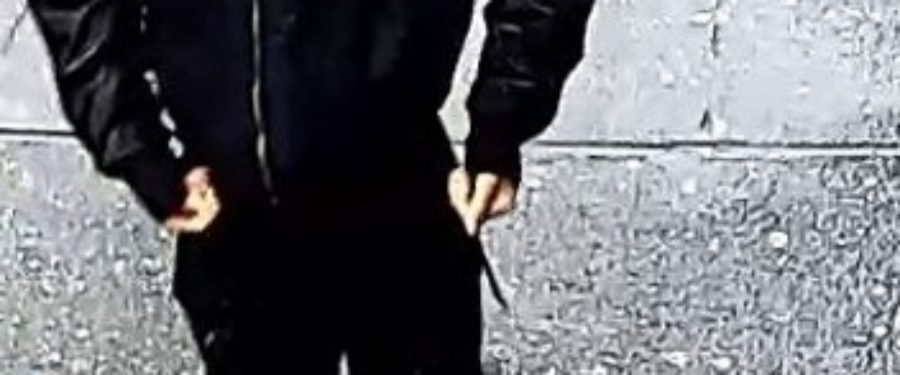 Help Identify An Assault Duo