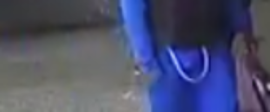 Help Identify An Assault Duo