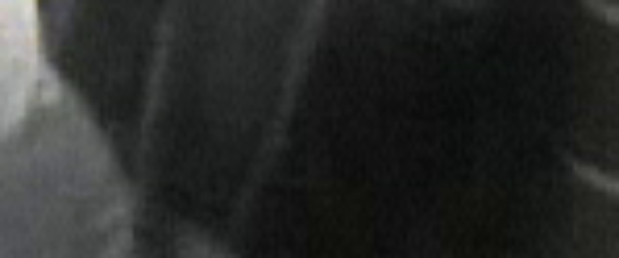 Help Identify A Robbery Trio