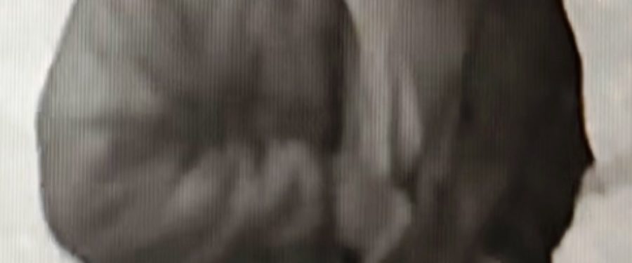 Help Identify 2 Assault Suspects