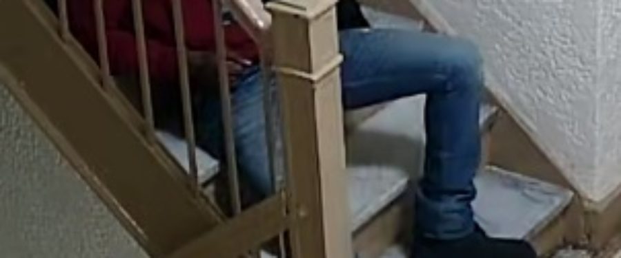 Help Identify A Robbery Duo