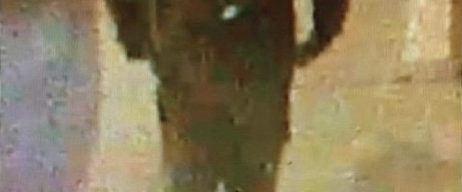 Help Identify A Robbery Duo