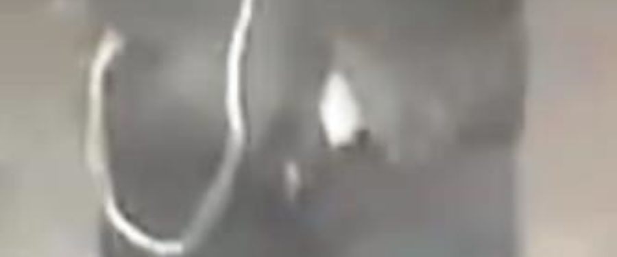 Help Identify A Robbery Trio