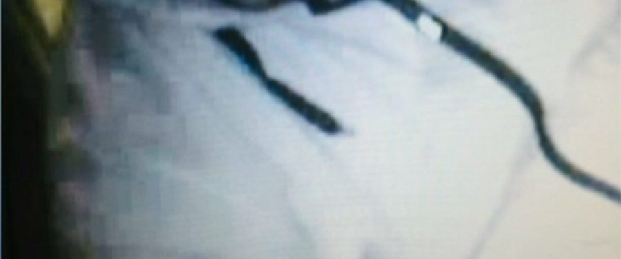 Seeking Bronx Laundromat Thief