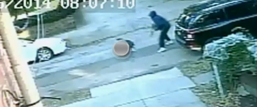 Bronx Serial Robber Saught