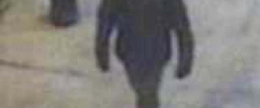 Help Identify A Homicide Suspect