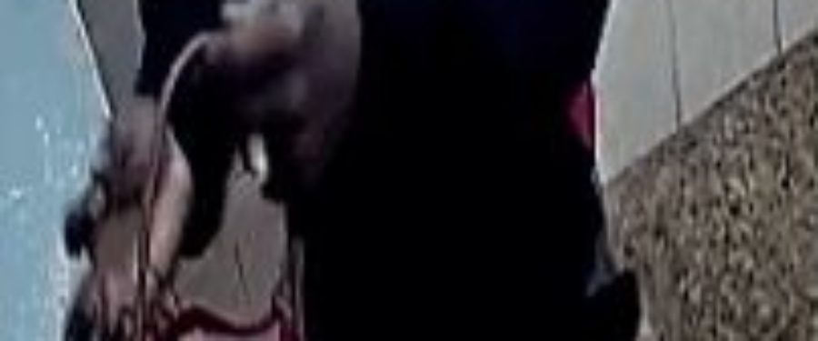 Help Identify A Rape Suspect