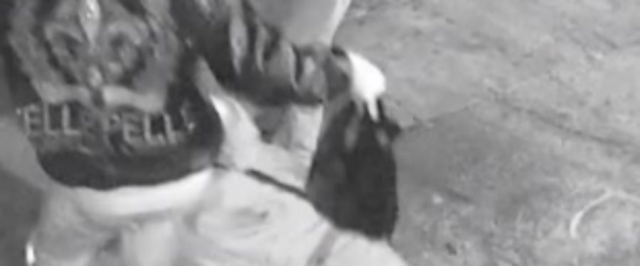 Help Identify A Robbery Duo