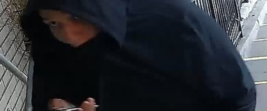 Help Identify A Burglary Trio