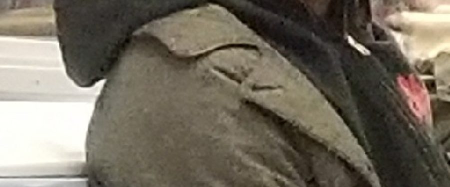 Help Identify A Forcible Touching Suspect