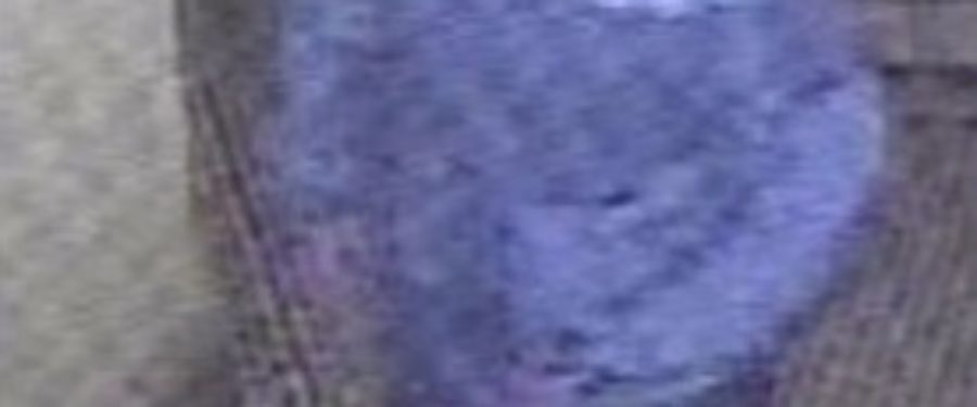 Man Exposed Himself To Girl, 10, In Bronx Building