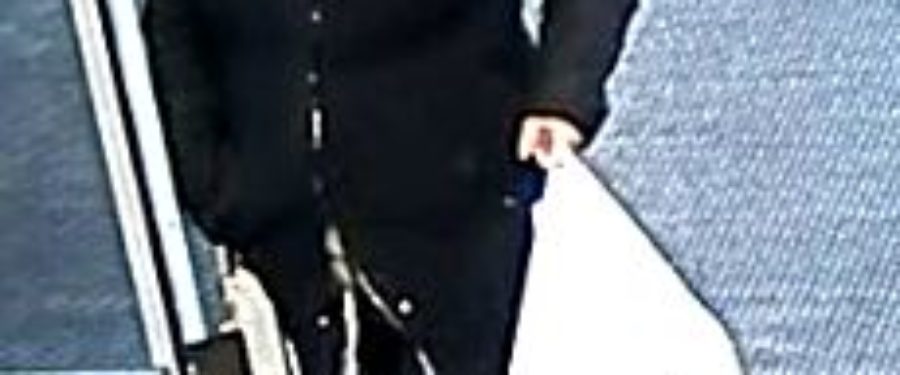 Help Identify A Grand Larceny Suspect