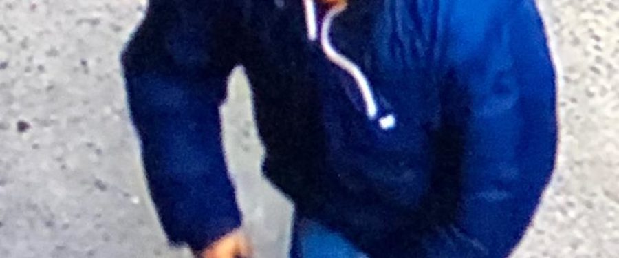 Help Identify A Reckless Endangerment Suspect