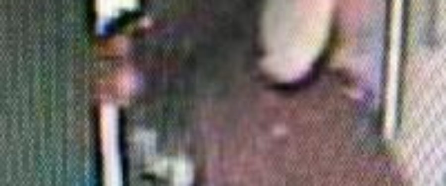 Help Identify An Assault Quartet