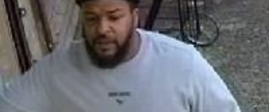 Help Identify A Grand Larceny Suspect