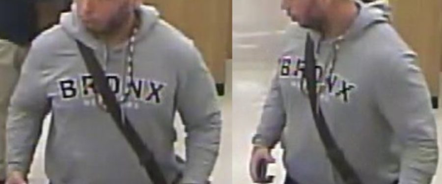 Help Identify A Grand Larceny Suspect