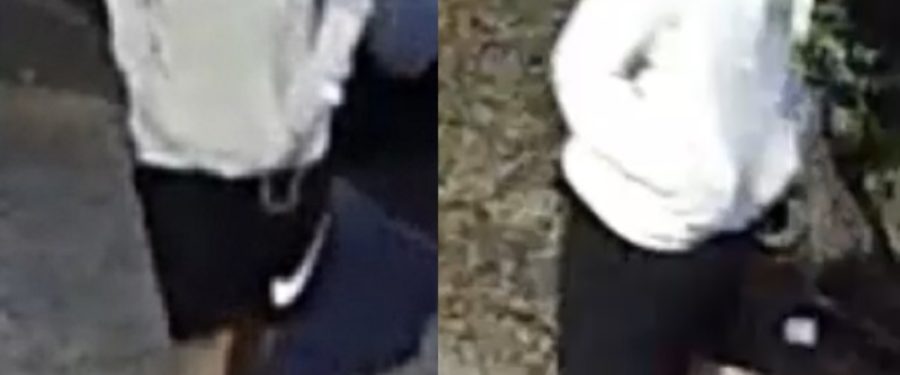 The Murderer Of A Teenage Girl Sought