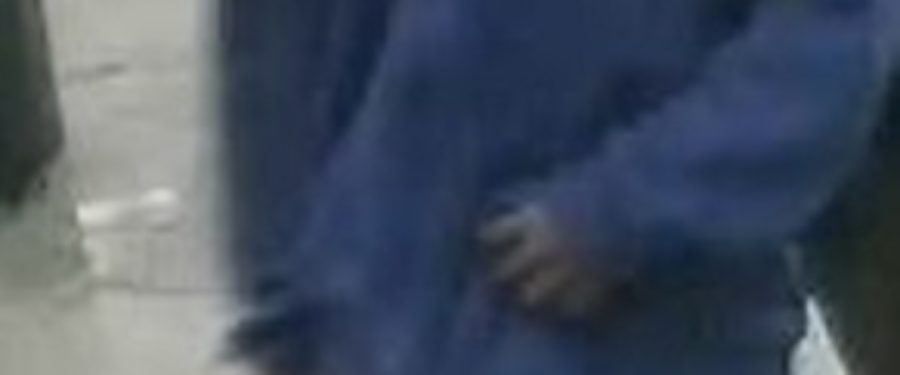 Help Identify An Assault Duo