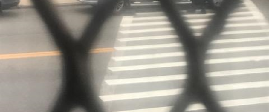 Help Identify An Animal Cruelty Suspect