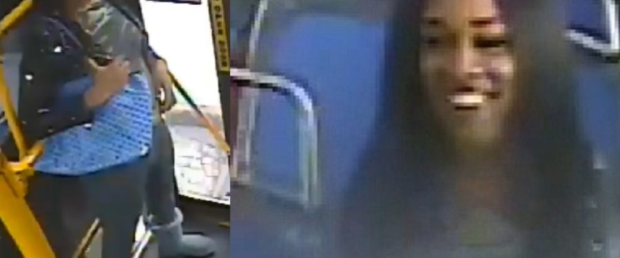 Help Identify A Grand Larceny Duo