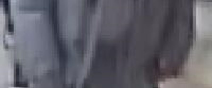 Help Identify A Burglary Duo