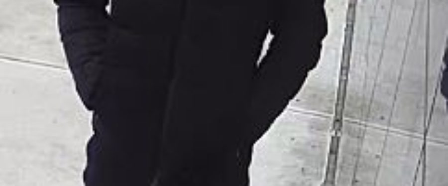 Help Identify A Grand Larceny Suspect