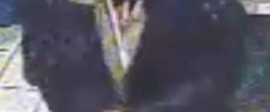 Help Identify A Robbery Suspect