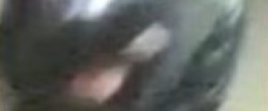 Teenager Shot On Decatur Avenue In Bronx