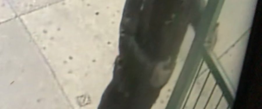 Help Identify A Rape Suspect