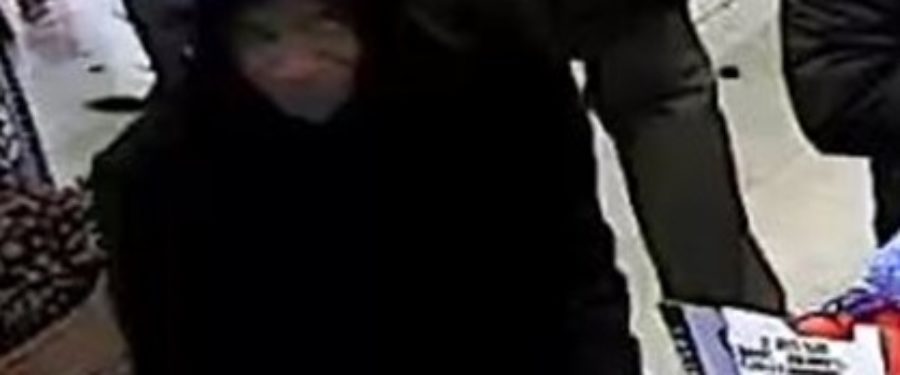 Help Identify A Grand Larceny Suspect