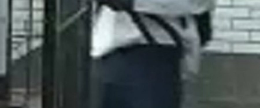 Assault Suspect Sought