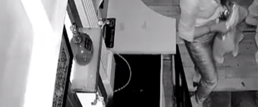 Woman Steals Purse From Bronx Nightclub