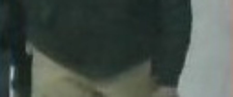 Grand Larceny Suspect Saught