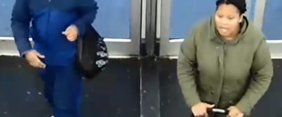 Help Identify A Grand Larceny Duo