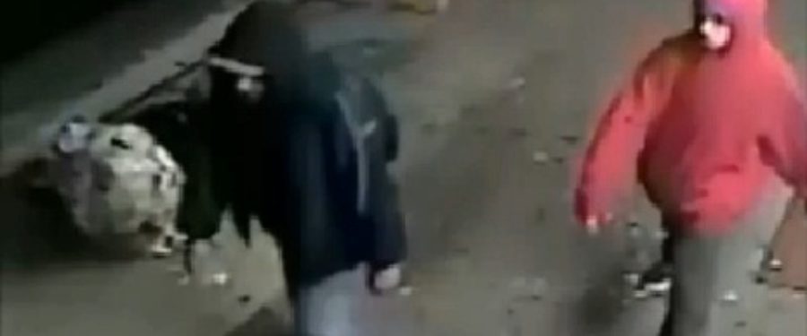 Men Robbed Woman, 83, Knocked Her To Floor In Bronx
