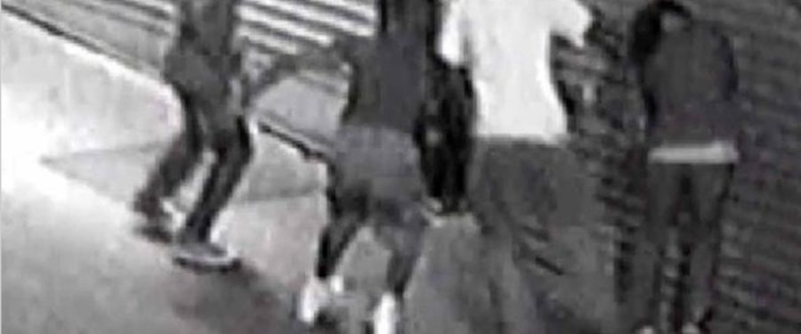 Muggers Hit, Robbed Woman In Bronx