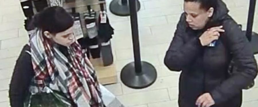 Help Identify A Grand Larceny Duo