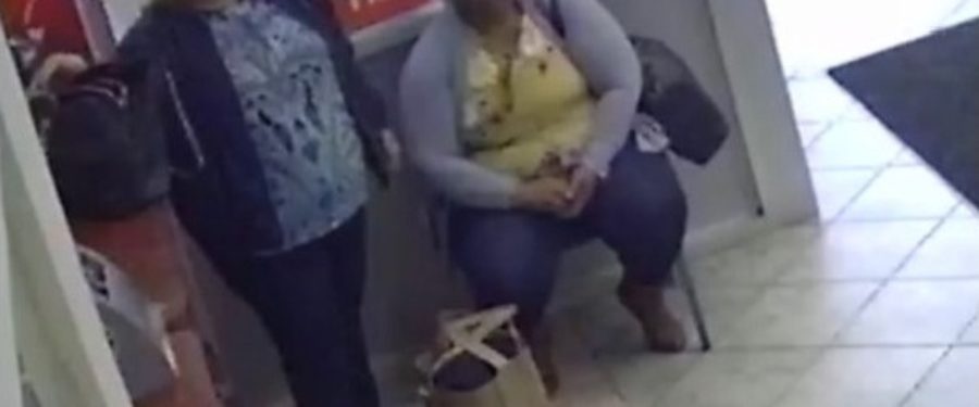 Help Identify A Grand Larceny Duo