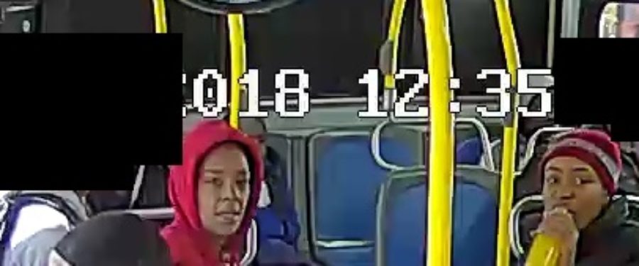 Help Identify A Female Assault Duo