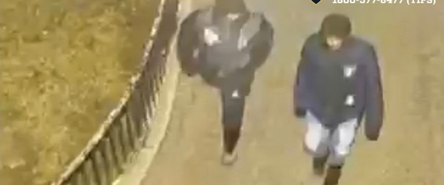 Help Identify A Reckless Endangerment Duo