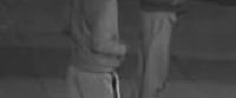 Help Identify A Robbery Duo