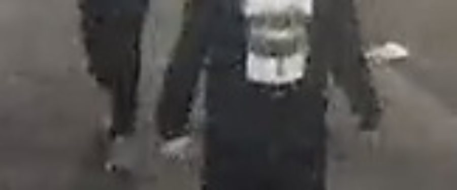 Help Identify An Assault Duo