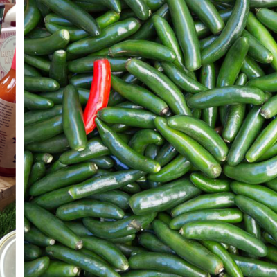 Bronx Community Gardens Grew And Sold 1,500 lbs+ Of Serrano Peppers