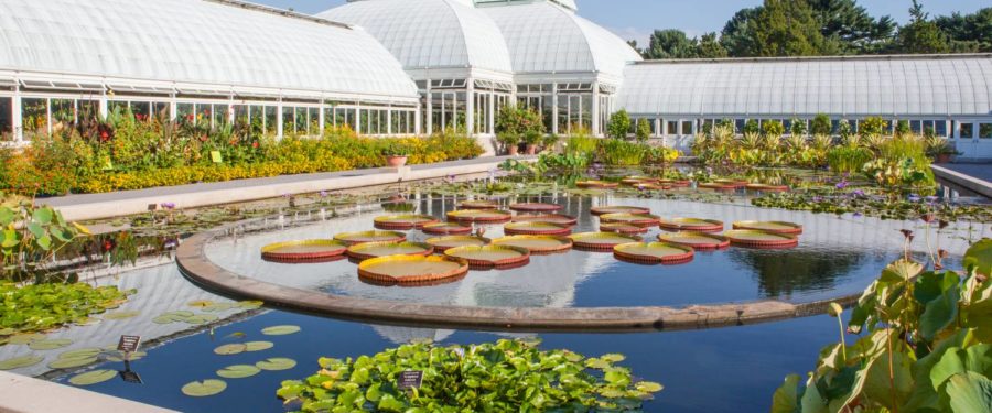 Botanical Garden Discriminated Against Minorities, Jewish Job Seeker: Suit
